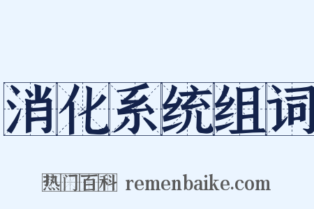 消化系统组词是什么意思的图片